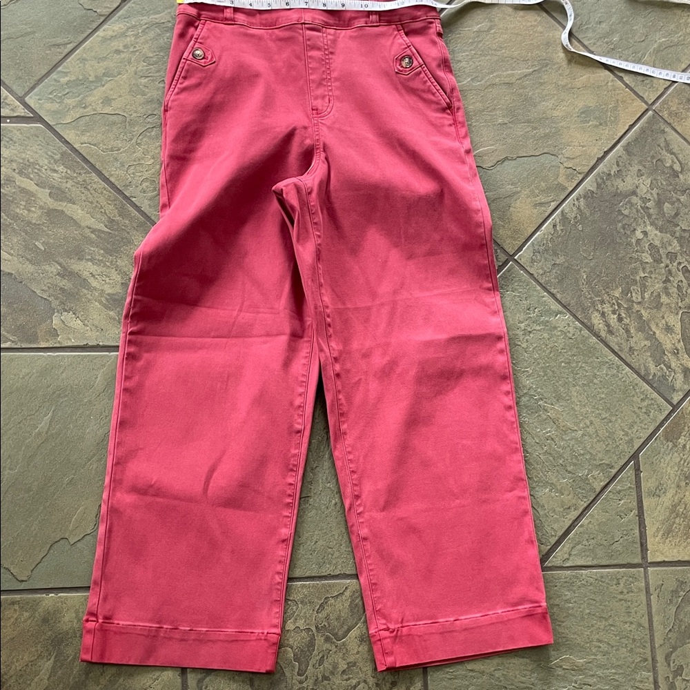SPANX red/Pink Pants